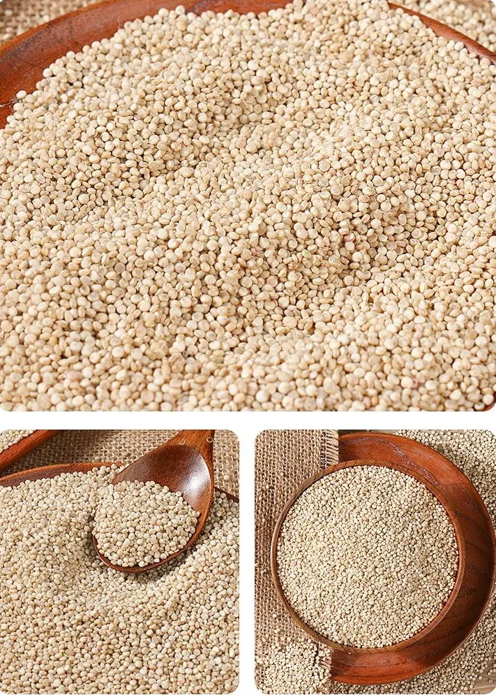 Оптовая продажа семян квиноа хиноа производители квиноа цена квиноа косечадора