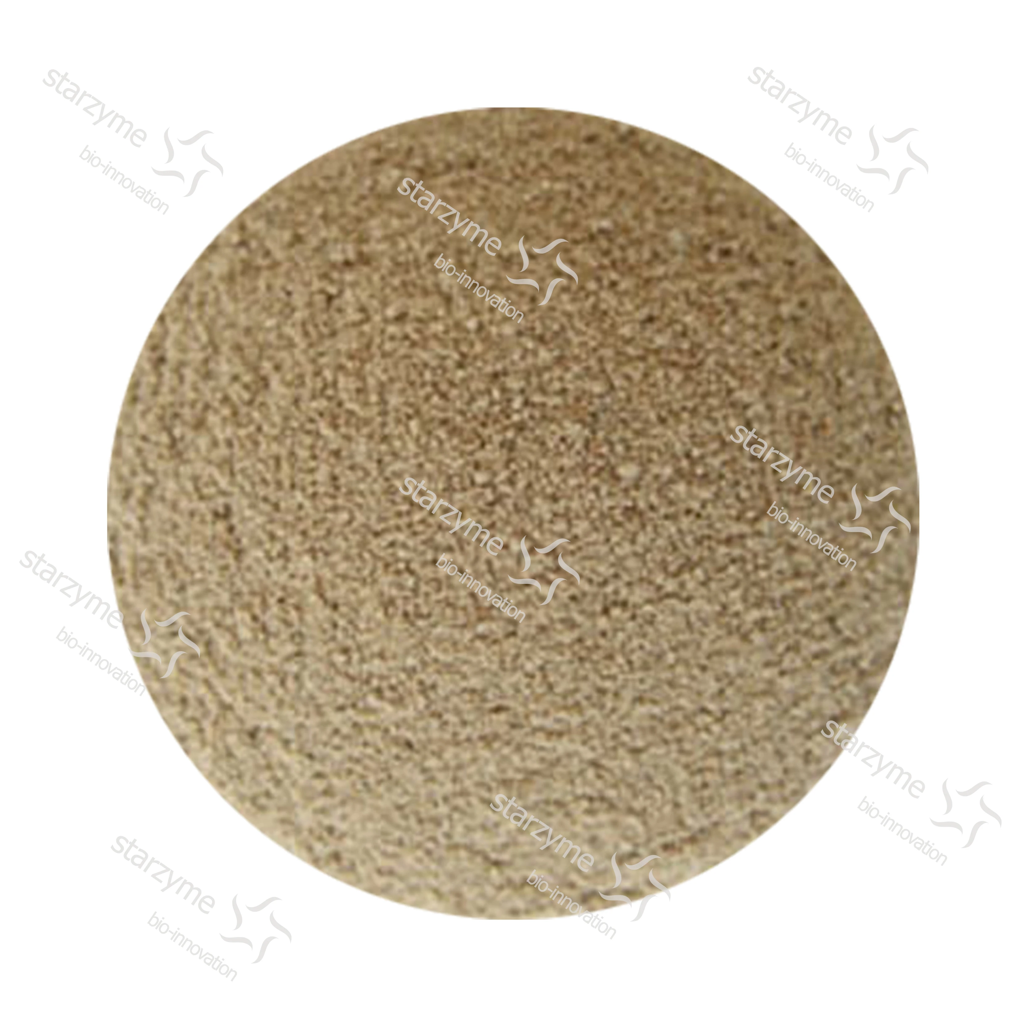 
High Concentration Alkaline Protease Powder Animal Feed Grade Enzyme Quotes 