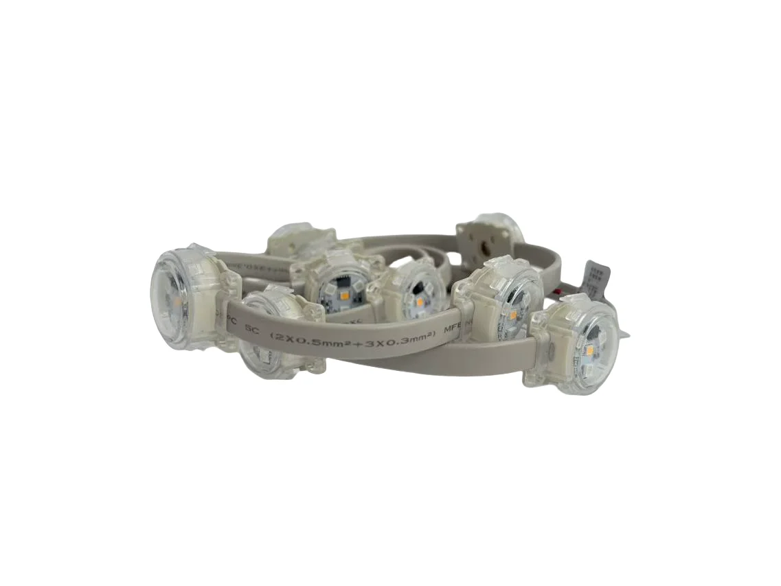 Wholesale IP67 Rating Plastic Lamp Body for Landscape Application LED Pixel Point Light
