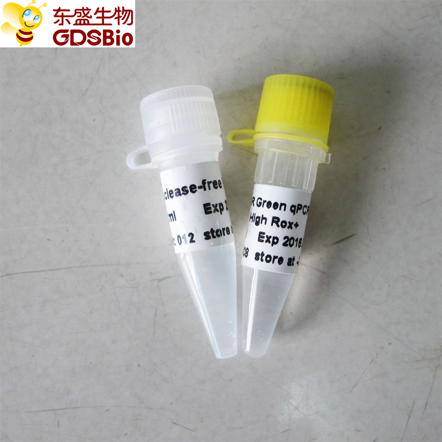 SYBR Green qPCR Mix (High Rox+), chemistry dye real time pcr, P2091b 1ml