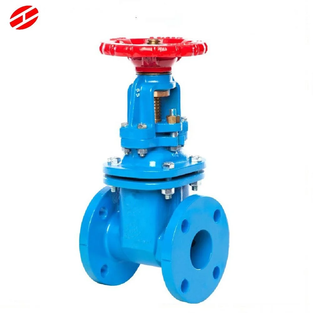 BS5155 Cast Iron Gate Valve