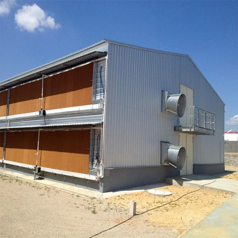 High Quality  Cheap Prefabricated DWG Designs Chicken Steel Structure  Coop Houses Shed For Sale