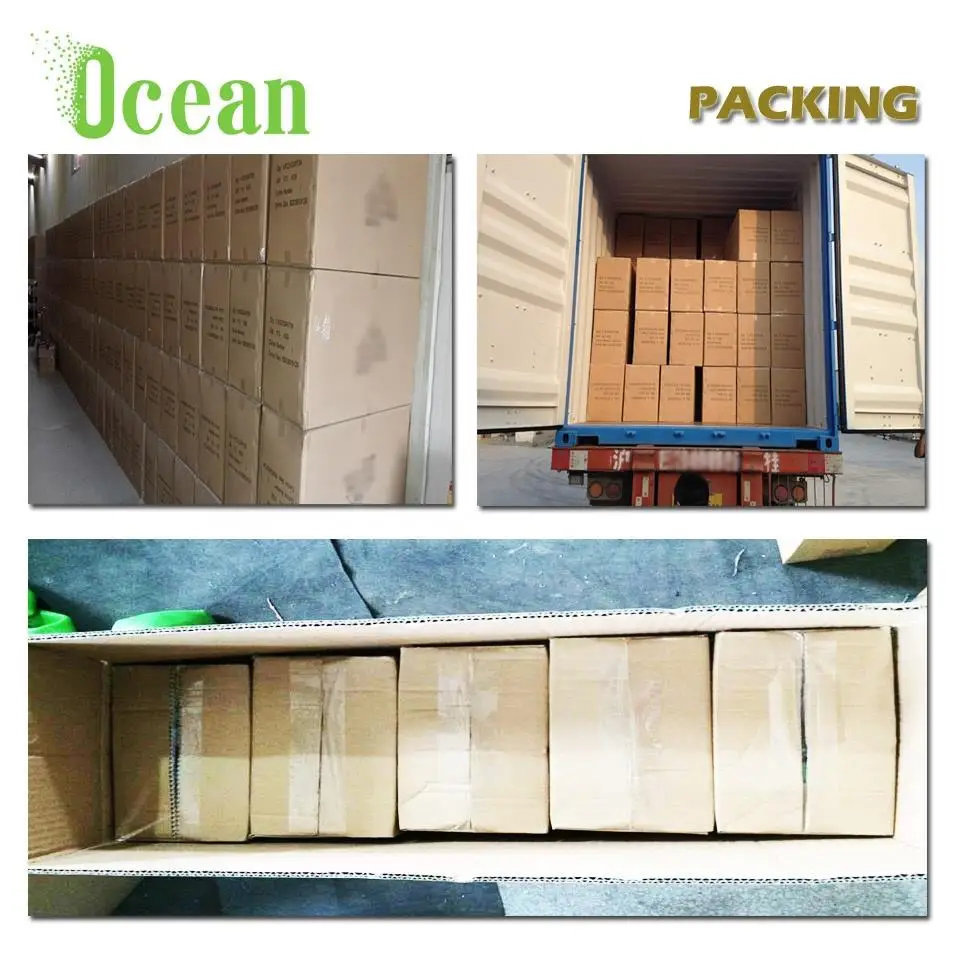 Human Eye in  Anatomy Human Body Organs Eye And al Structure 3D Model