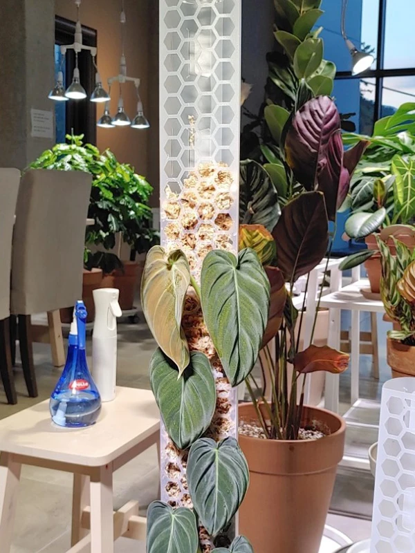 coco coir totem plants monstera garden small extension indoor climbing plant support stick hanging outdoor  pole moss poles