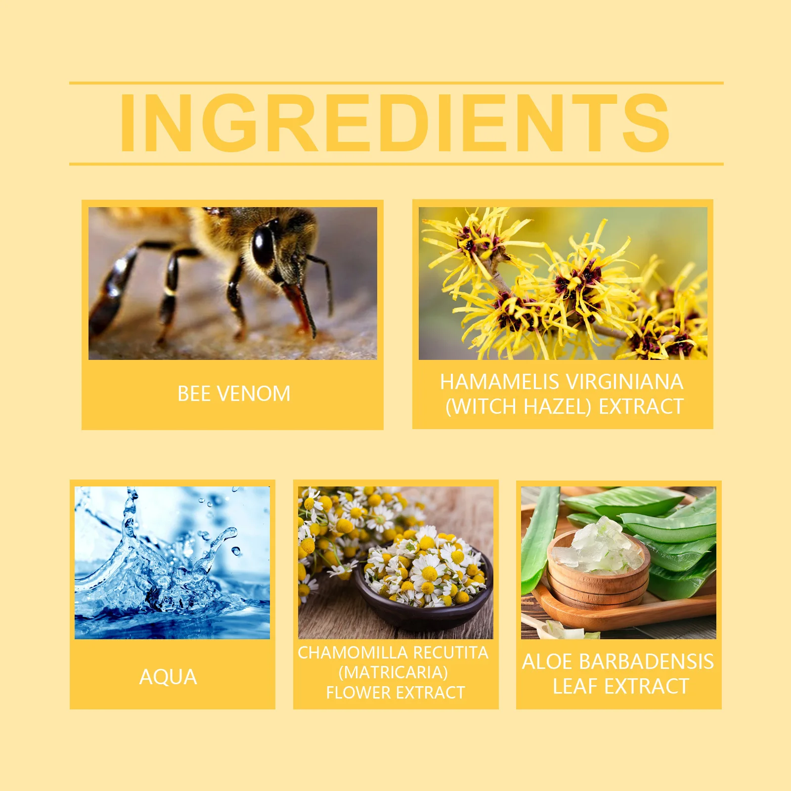 Private label BEE VENOM 20g psoriasis ointment acne dermatitis scrotum eczema pityriasis urticaria psoriasis treatment cream