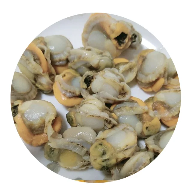 New Season Frozen Quality Frozen Scallop Meat