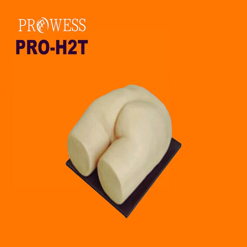 PRO-H2T Nursing Skill Training Silicone hip injection model/ Buttocks Injection Training Simulator mould for sale