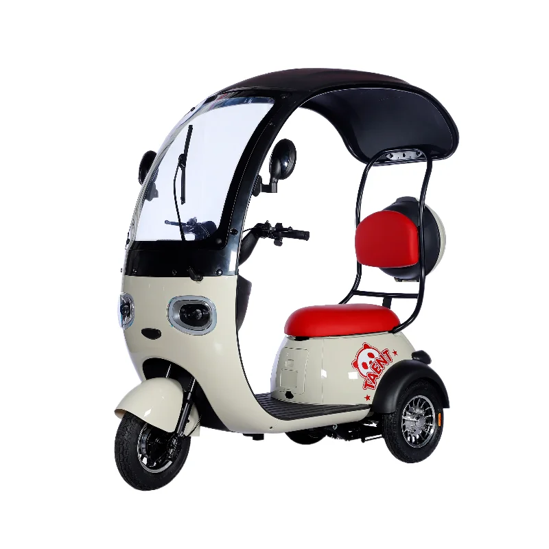 Semi-Enclosed Steel Frame Electric Leisure Tricycle Dual-Purpose Two-Person Tricycle with Baby Seat and Rear Hub Motor