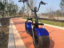 China factory Direct factory price 1000w 60v lithium battery fat tire off-road electric scooter two-wheeled citycoco
