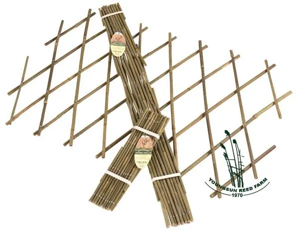 Hot sale natural expandable bamboo trellis for plant