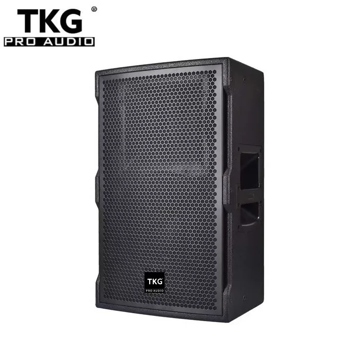 TKG 450W  dj 12 inch TT12M  sound system professional active speaker for sale