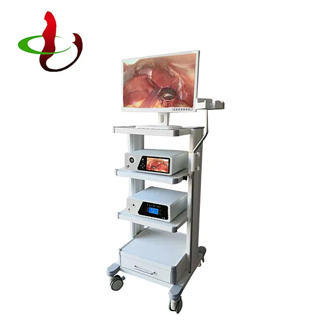 Цифровая портативная медицинская эндоскопическая камера по лучшей цене