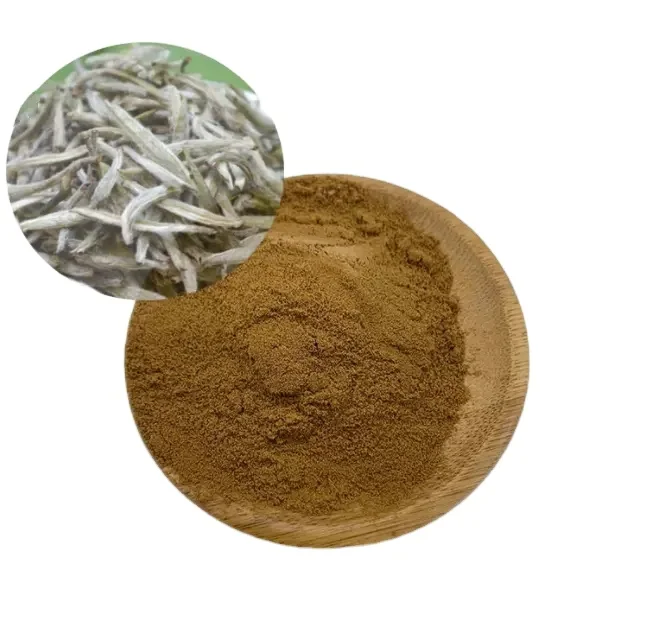 with Fast Delivery  Wholesale CAS 84650-60-2 Polyphenol Powder  Price  Green Tea Extract low price Factory 98%