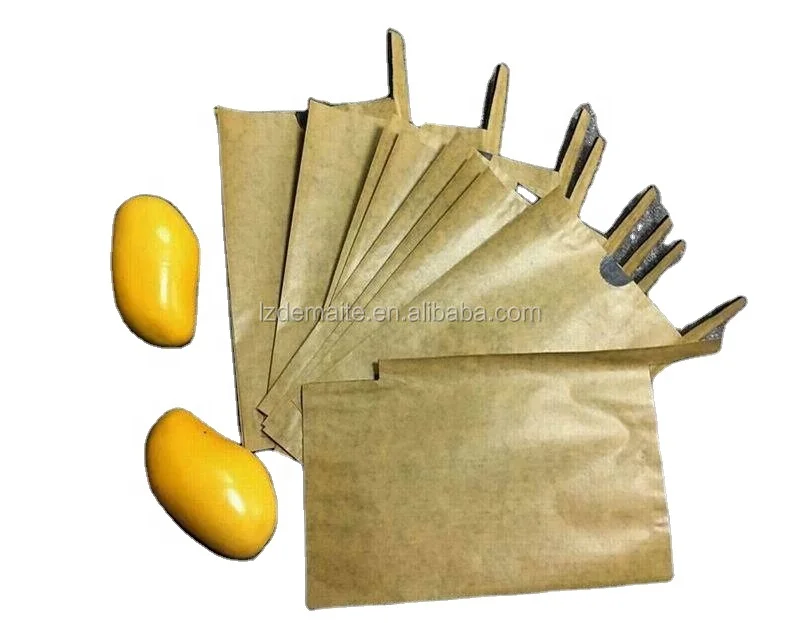Mango Fruit Bagging Fruit Bag Mango in Bangladesh