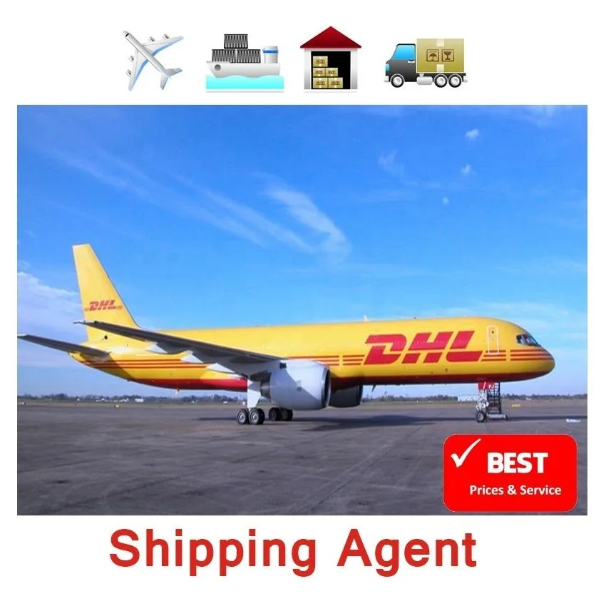 China shipping agent door to door service from China to USA Canada Europe