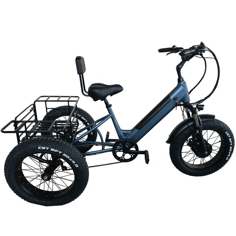 Europe Electric 3 wheel Tricycle(FP-ETRI23002)