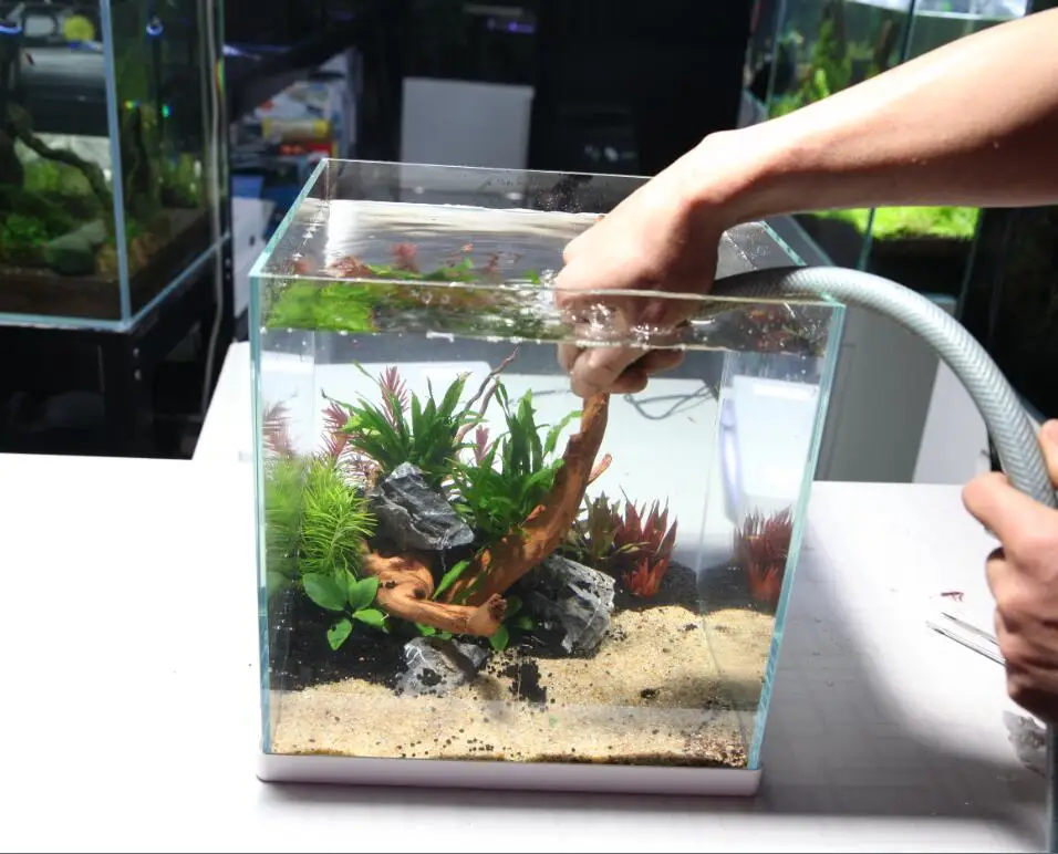 
aquatic plant coral decoration glass mini fish rimless tank aquarium 