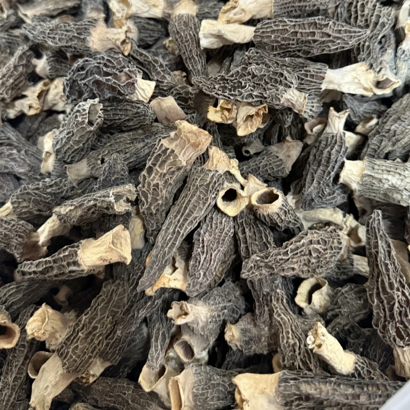 High Grade Small Size Morel Mushroom Healthy Vegetable Dried Morels