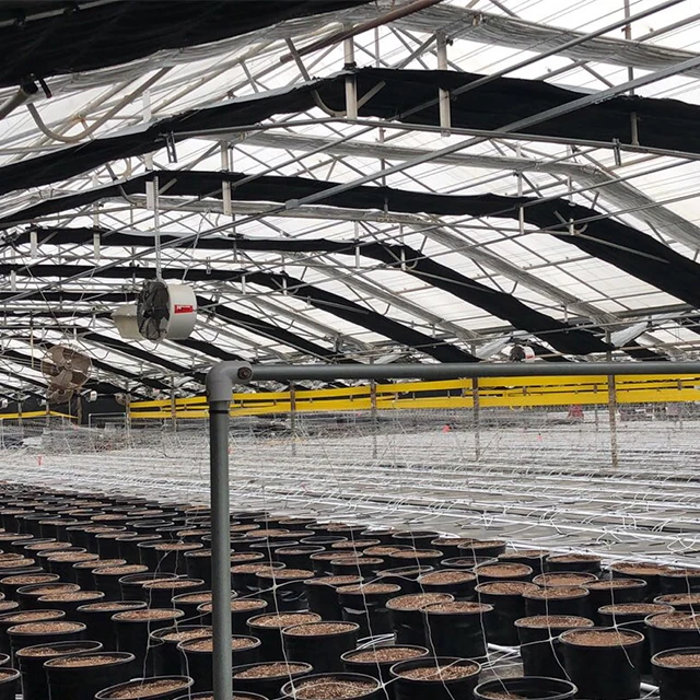 Agricultural mushroom greenhouse with PEP plastic for the cold area in winter