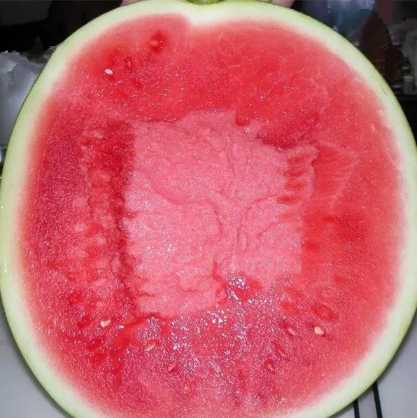 
seedless watermelon seeds 