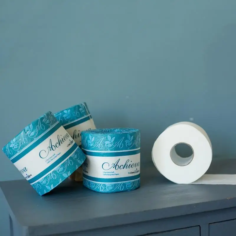 100% Bamboo Pulp Toilet Paper 2ply 300/400/500sheets Biodegradable Premium Quality