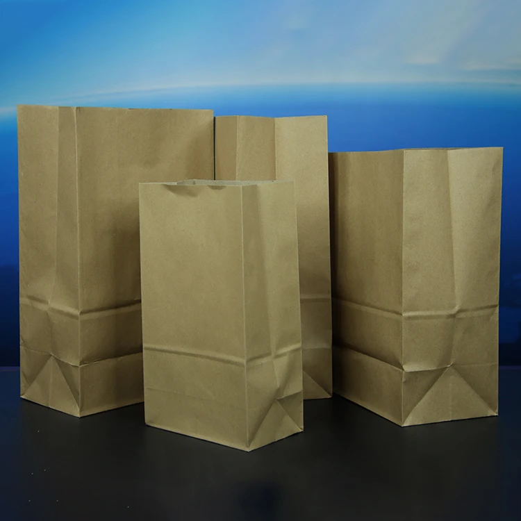 100% Compostable Recycled Durable Brown Kraft Paper Lunch Bags For Snack Takeaway Bread Packaging