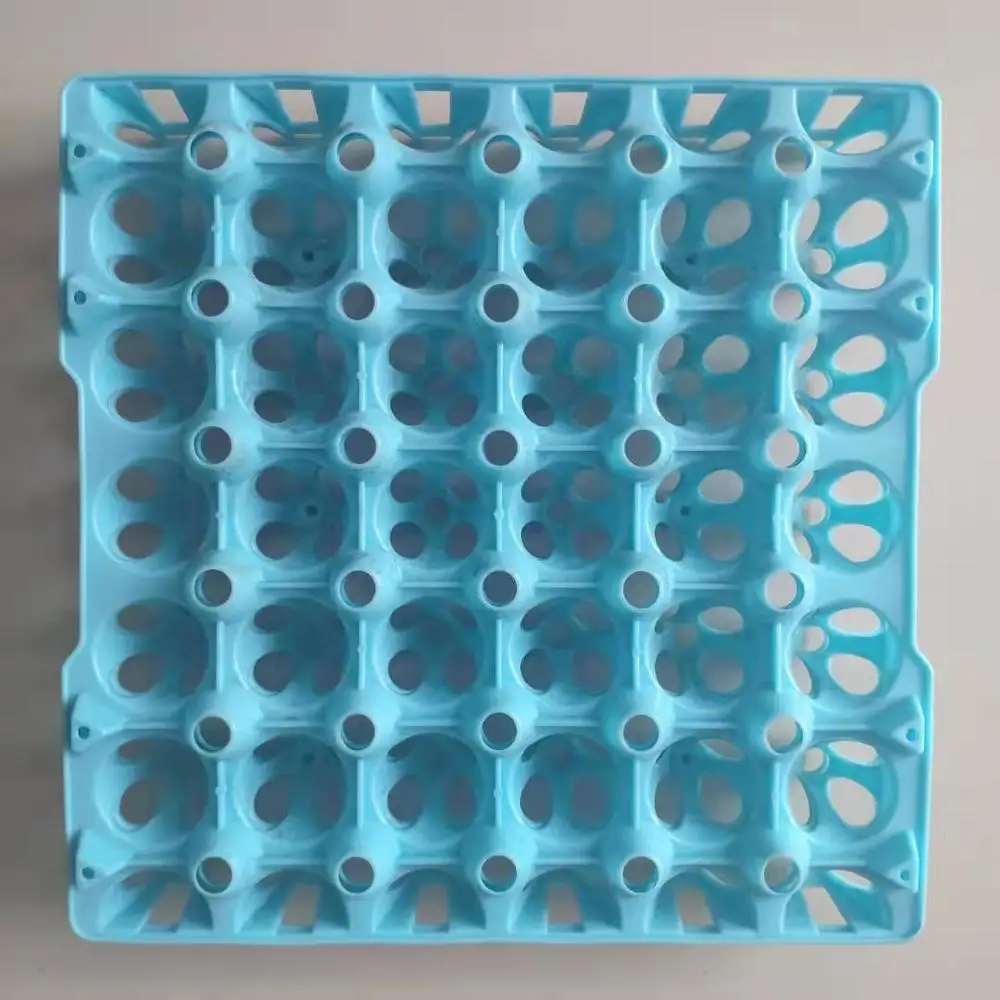 Injection type 30 cavity plastic egg tray / egg form for egg transportation