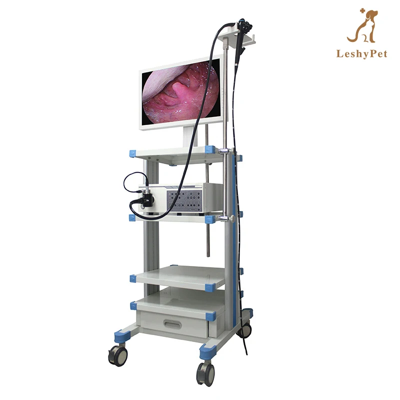 Leshypet Veterinary Electric Flexible Gastroscope And Colonoscope In One Set With Video Endoscope Camera System And Lcd Monitor