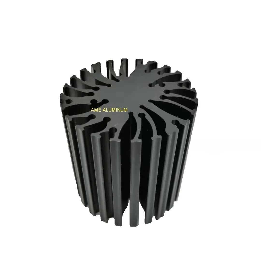 High Performance Customize Powder Coating Anodized Aluminum Passive LED Bulb Heat Sink