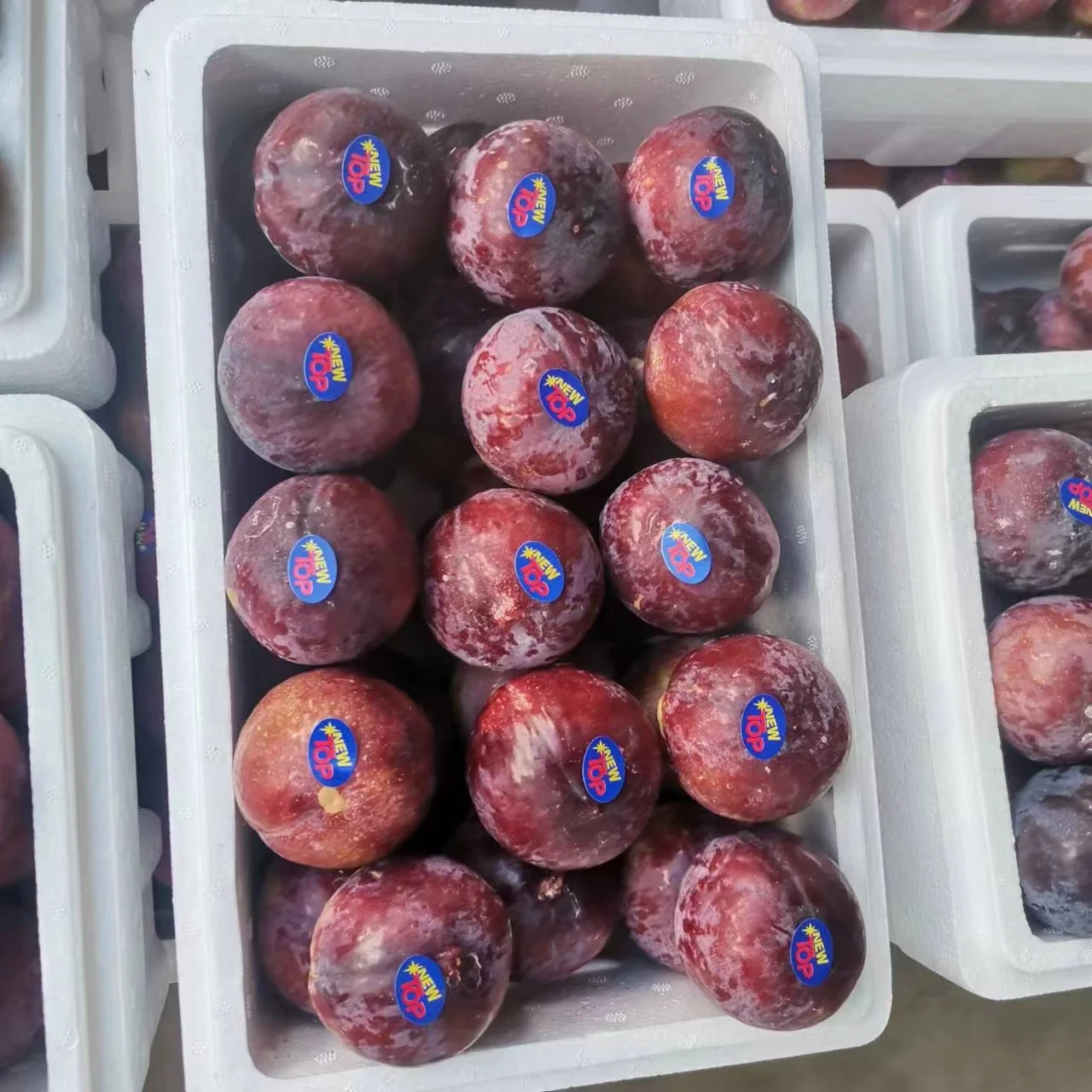 chinese 4.5kg foam box black plum