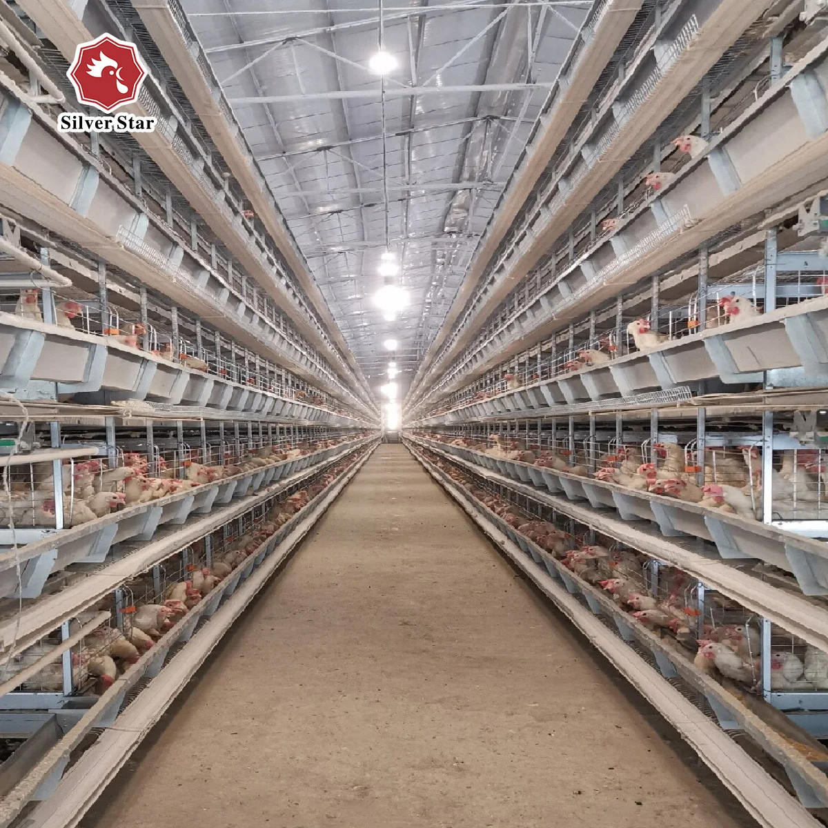 Система клетки для кур с силосом для корма