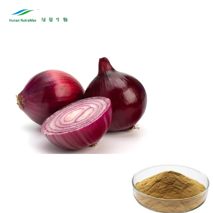Natural Fruit Extract Powder 10:1 Bulk Dried Onion Extract for Healthcare Supplement