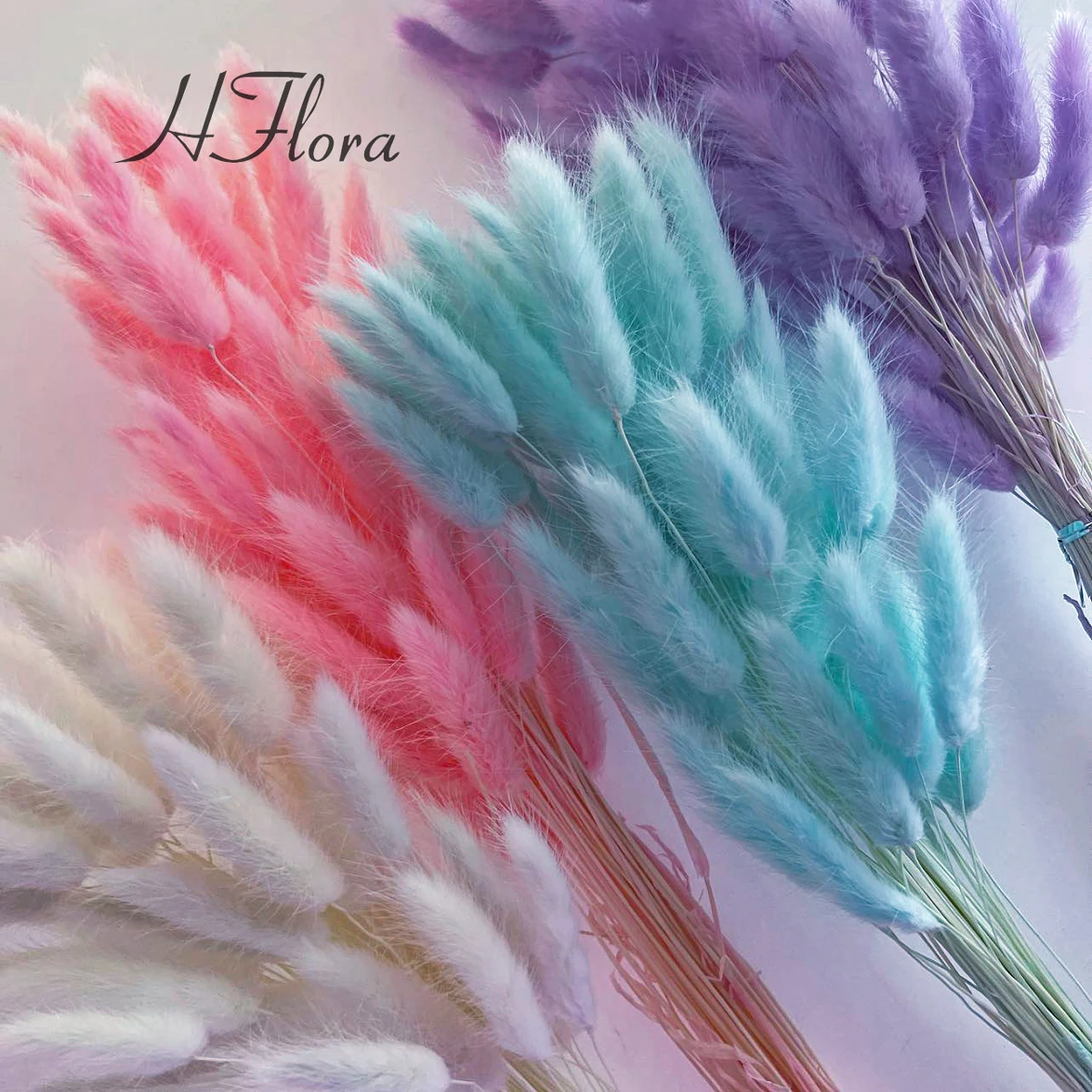 Hfloral Wholesale Bouquet dried flowers wedding decoration design party flower arrangement preserved forever Lagurus ovatus