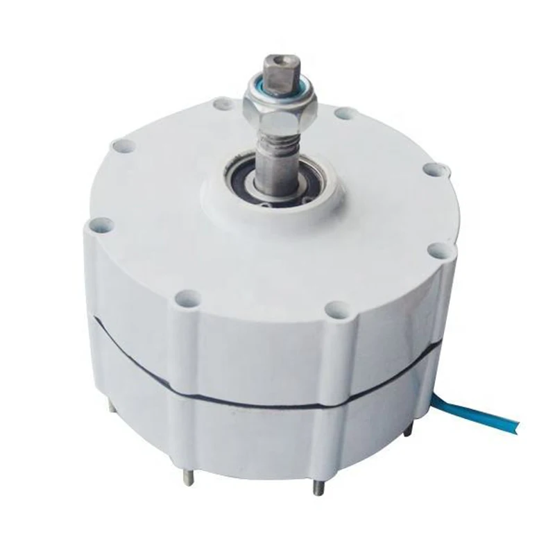 600 Вт PMG генератор постоянного магнита 12V 24V 48V для системы ветряных турбин