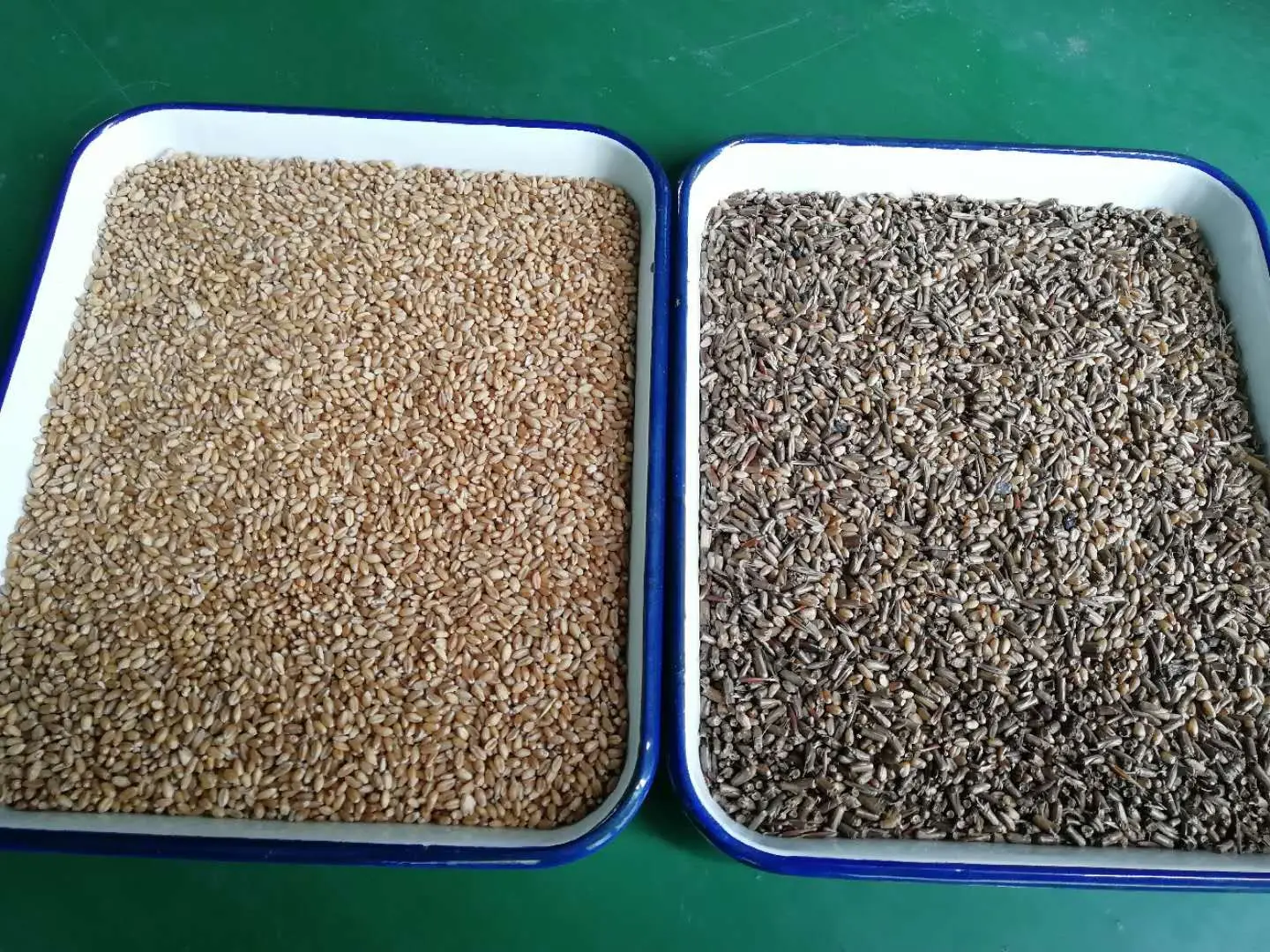 High Efficient 7 Chutes 6-14 ton Capacity Corn Sorting Machine Sesame Quinoa Seed Color Color Sorting Machine Price