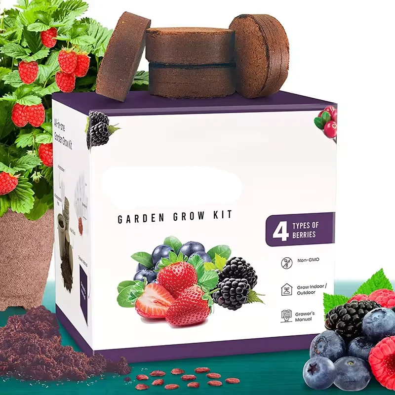 Garden Grow Kit Kitchen Starter Planting Set Children Adult planting Gift box wholesale