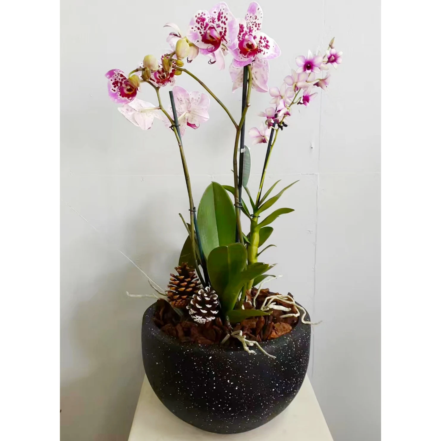 Черные маленькие круглые Стекловолоконные цементные садовые фермы для орхидеи