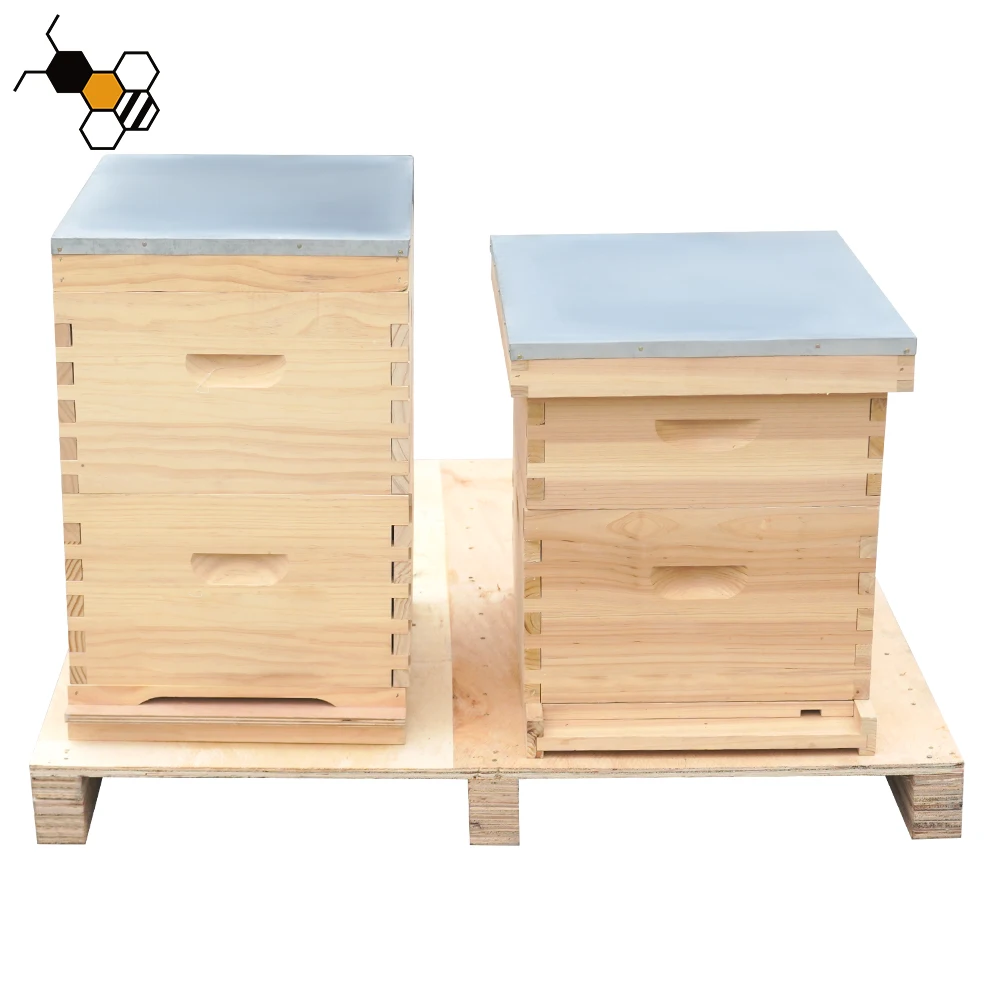 Hot sale Solid Base Bottom Board for Bee Hive Beekeeping Tools 10 Frame Beehive  Beehive Tray