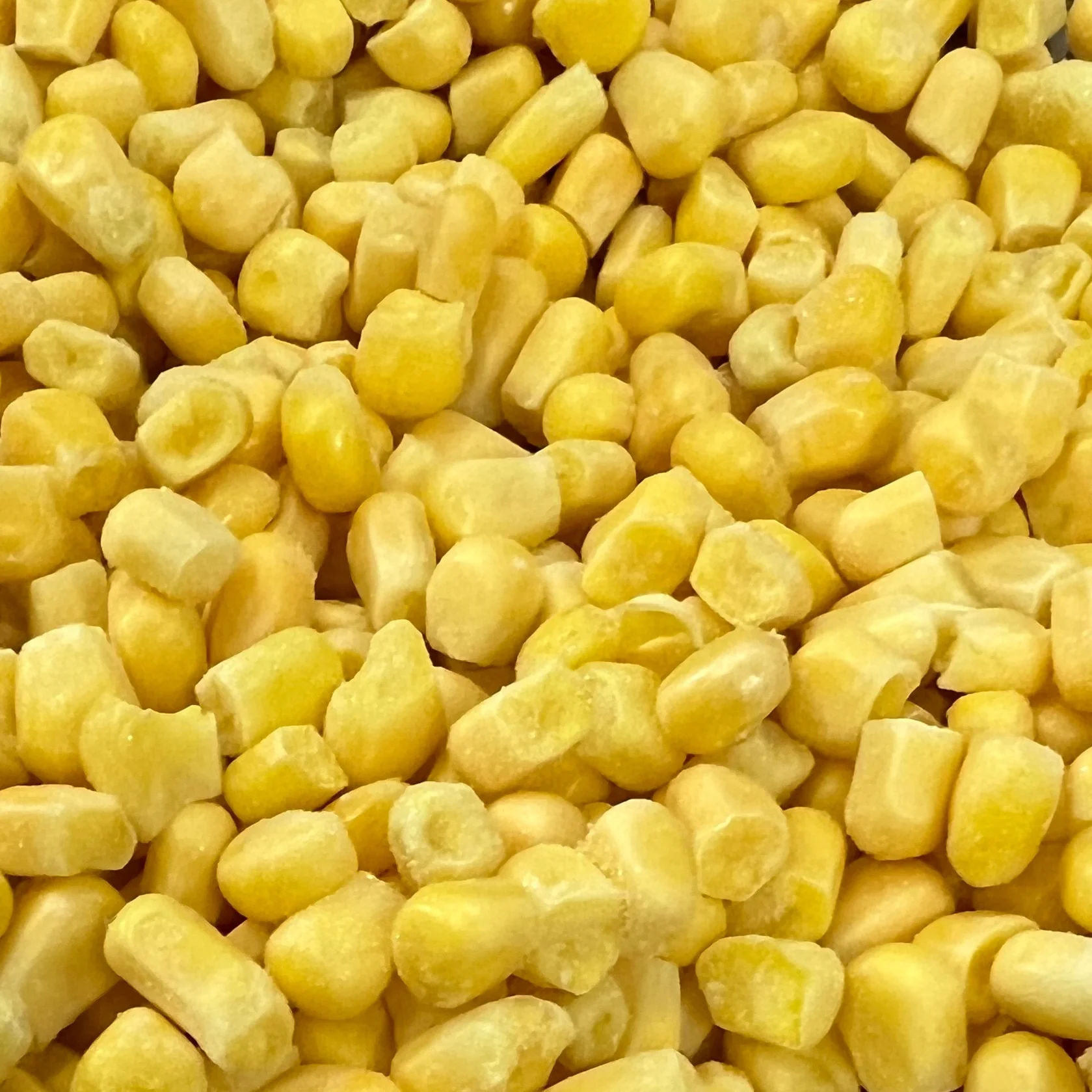 Frozen Sweet Corn IQF Sweet Corn Kernels