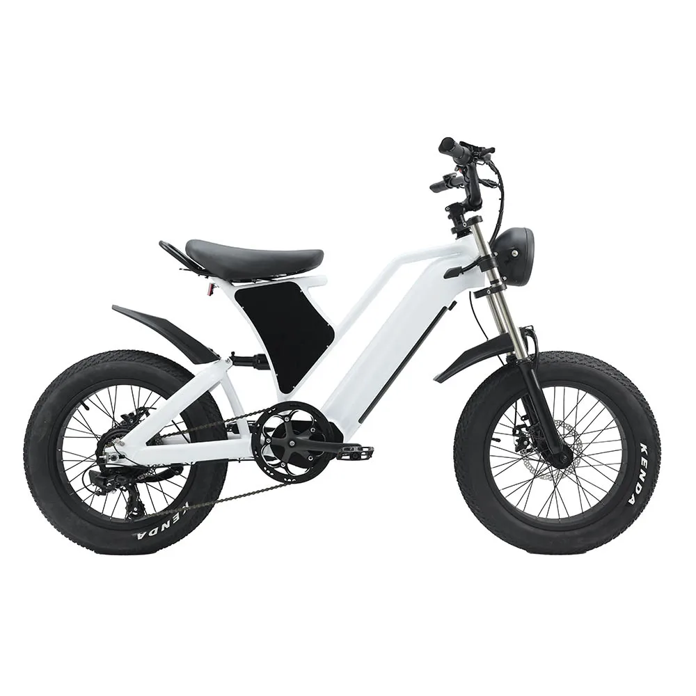 Factory Price 20 Inch Mountain Ebike Fat Tire Electric Bicycle Full Suspension 750W 500W Electric Bike For Sale