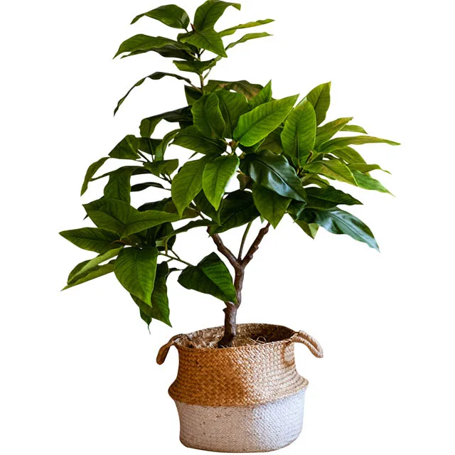 living room indoor floor decoration tree window decoration Large simulation green laurel tree  potted