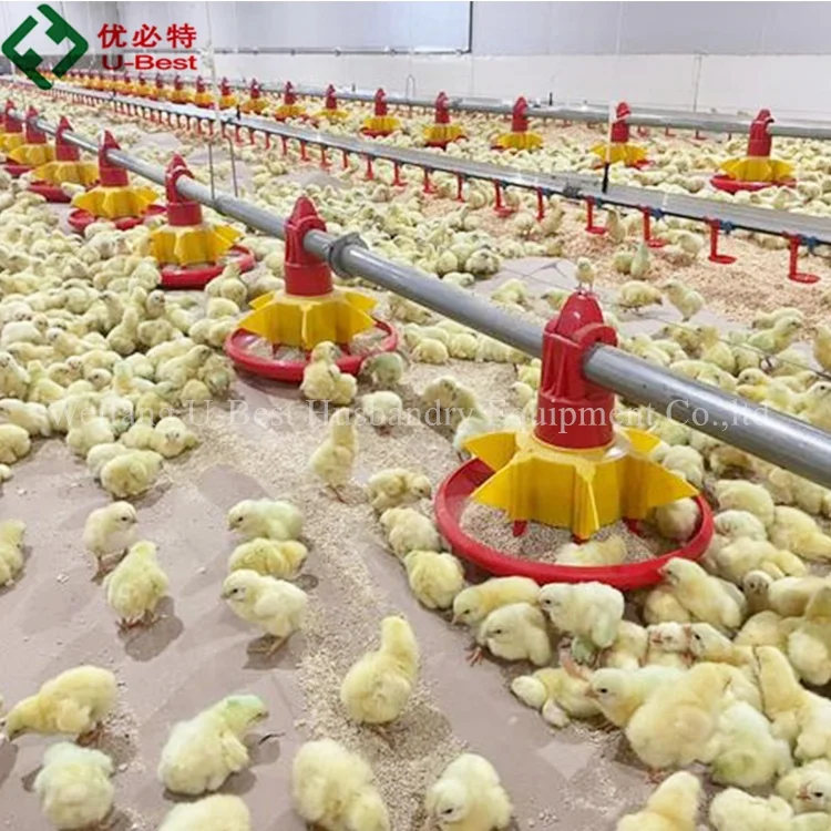 Автоматический Бройлер для птицефабрики