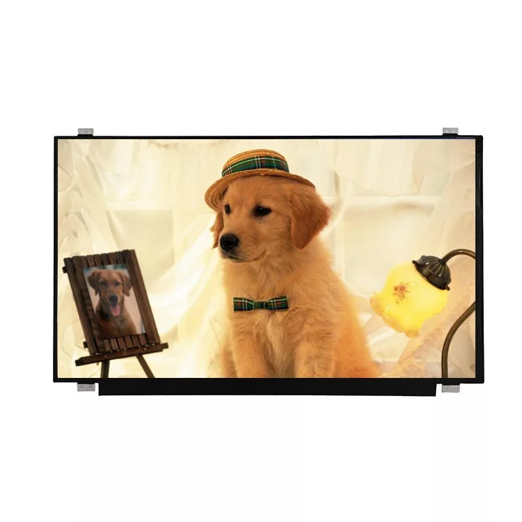 Industrial 15.6 inch TFT LCD 15.6' 1920x1080 eDP Ver1.2 interface RGB pixel config norally black for Medical Devices