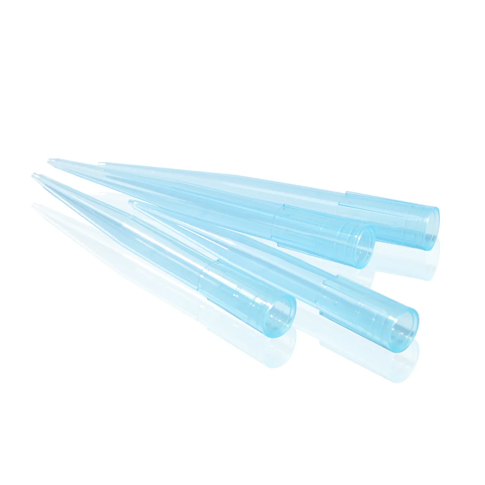 1000Ul Filter Tips Bagged Boxed Sterile Pipette Tips