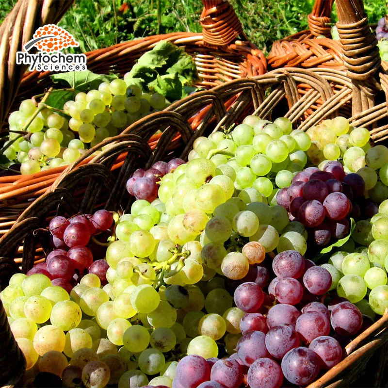 health & supplement kosher chardonay seeds extract cold grape seed oil extraction machine