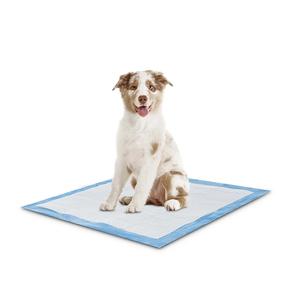Super Absorbency And High Quality Disposable Pet Dog Urine Pads disposable diaper pet dog pads
