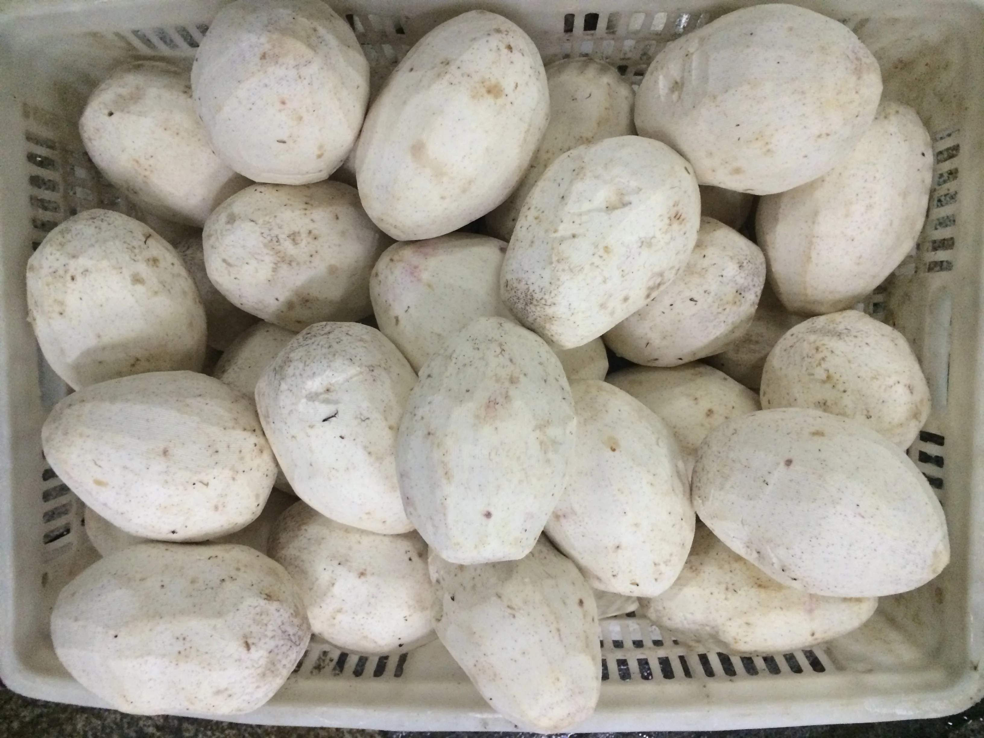 KWS Peeled Frozen IQF Taro with Balls Slices Halves Chunks Cubes Strips