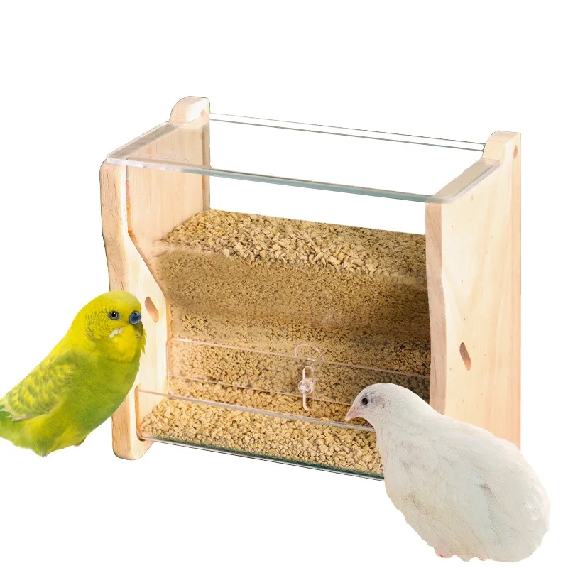 2022 New Rutin chicken food feeder   Automatic Parrot Bird Pet Bowls Acrylic Parrot food feeder OEM