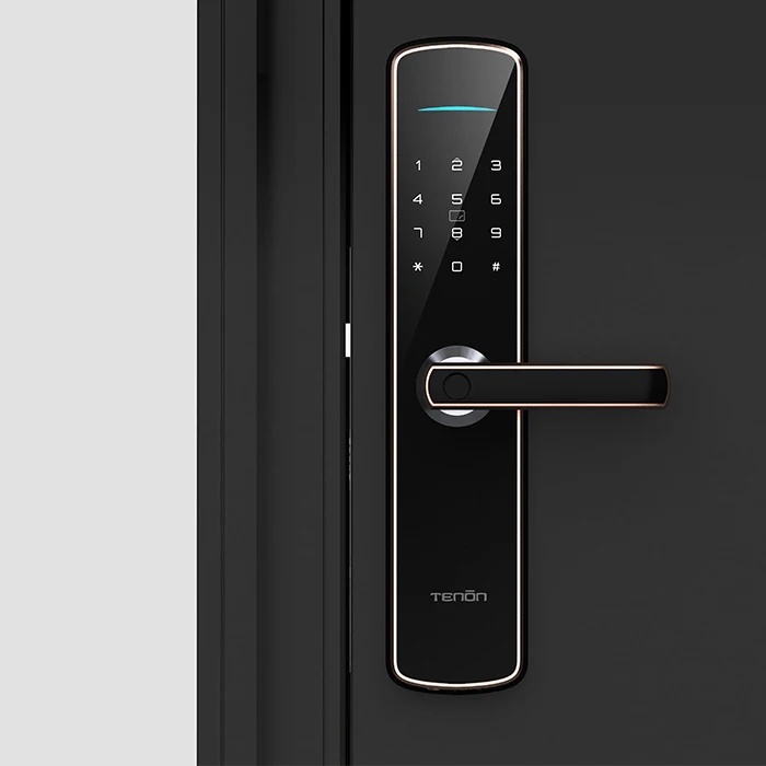Tenon E3c Keyless Intelligent Biometric Fingerprint Door Lock Digital Lock