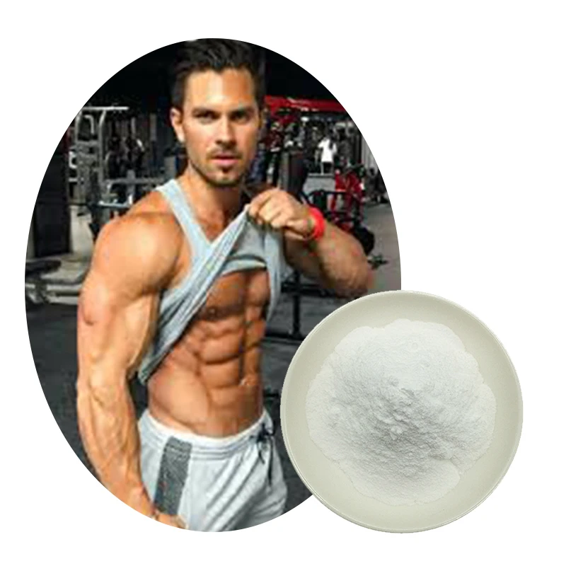 Hot Sale Creatine monohydrate sport supplements for bodybuilding